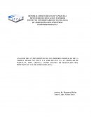 ANALISIS DEL CUMPLIMIENTO DE LOS DEBERES FORMALES DE LA TIENDA TRAKI IVG PLUS C.A