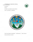 YO AFUERA, YO ADENTRO