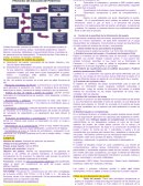 Analisis y Diseño de Puestos. Asistente de selección de personal