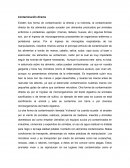 Contaminación directa y la indirecta