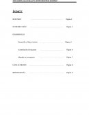 El sector industrial nacional