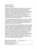 Análisis del protocolo Aspectos metodológicos