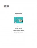 Riesgo Financiero. Investigar una empresa chilena
