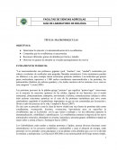 GUÍA DE LABORATORIO DE BIOLÓGIA. MACROMOLECULAS