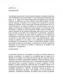 LA ORGANIZACIÓN INDUSTRIAL