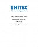 Entregable 1 Modelos de Proyección Financiera