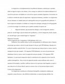 Migración Venezuela