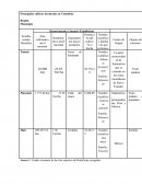 Principales cultivos hortícolas en Colombia