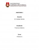 FORMULAS DENTARIAS