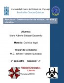 Dictamen determinacion de nitratos