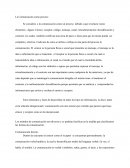 La comunicación como proceso