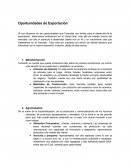 Oportunidades de Exportación