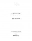 COSO I (Comité de Organizaciones Patrocinadoras de la Comisión de Normas)