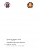 PRÁCTICA N° 6 Diagnóstico Coproparasitoscópico Mediato Directo y por Centrifugación Flotación