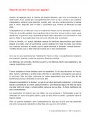 Reporte de libro “Huesos de Lagartija