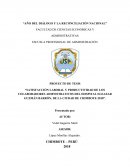 Satisfacción laboral y productividad de los colaboradores admnistrativos del Hospital Eleazar Guzmán Barrón, de la ciudad de Chimbote-2018