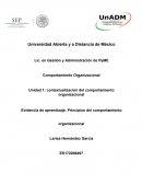 Evidencia de aprendizaje. Principios del comportamiento organizacional