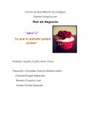 Plan de negocios “Jervi´s”
