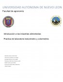 Practica de industrias alimentarias 1