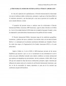 Cómo surge el Derecho Internacional Público Americano?