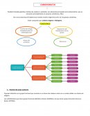 Carbohidratos. FUNCIONES