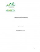 Opción de grado III creación de empresa