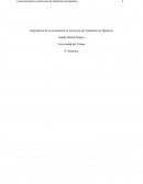 Importancia de la econometría en el proceso de Validación de Hipótesis