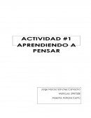 Actividad 1: Aprendiendo a Pensar