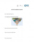 Importancia de la administración de proyectos