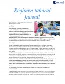 REGIMEN LABORAL JUVENIL
