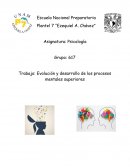 EVOLUCIÓN Y DESARROLLO DE LOS PROCESOS MENTALES SUPERIORES