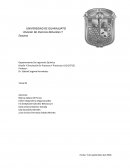 Diseño Y Simulación De Procesos Y Productos I (IQ-30715)