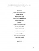 Creación de un producto. Aprende mientras juegas