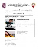 PROCESAMIENTO Y ANÁLISIS ELECTRÓNICOS DE DATOS