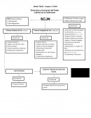 Amparo en el Derecho Mexicano