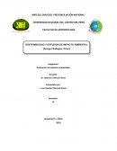 Sostenibilidad y estudios de impacto ambiental