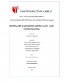 IDENTIFICACIÓN DE LOS INGRESOS, COSTOS Y GASTOS EN UNA EMPRESA INDUSTRIAL