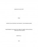 CONOZCO EL BLOG CEET