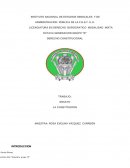 Ensayo derecho constitucional