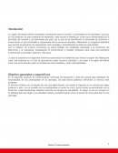 Informe de marketing. Objetivo generales y específicos