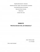 “PROTECCION EN CIVIL EN VENEZUELA”