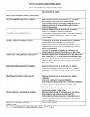 Ejemplo de ficha descriptiva