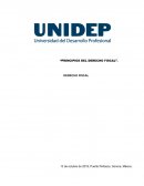 PRINCIPIOS DEL DERECHO FISCAL