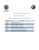 Producto Integrador de Aprendizaje Interdisciplinario