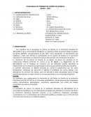 PLAN ANUAL DE TRABAJO DE PADRES DE FAMILIA