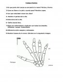 Trabajo practico - Manicuria