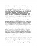 Diagnostico La escuela primaria Vicente Guerrero