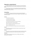 Aparato respiratorio. Examen físico