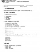 Las medias de los flamencos. El loro pelao