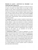 PROCESOS DE AJUSTE Y ADAPTACIÓN DEL ORGANISMO A LAS CONDICIONES MEDIO AMBIENTALES